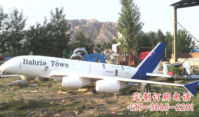 江苏静静躺在大地上的不锈钢飞机雕塑