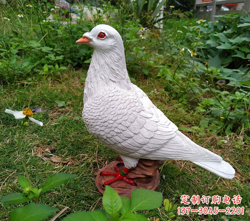 江苏为和平献芳礼：精美少女与和平鸽雕塑