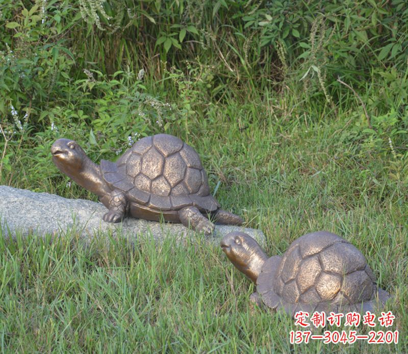 江苏乌龟铜雕